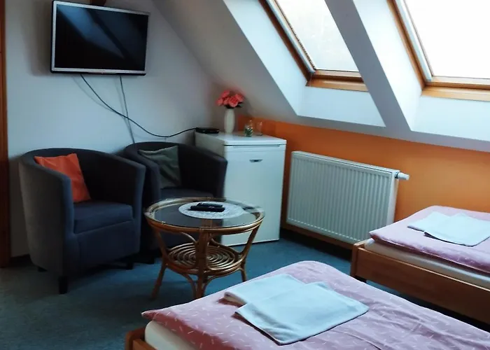 Apartament Poustka Františkovy Lázně